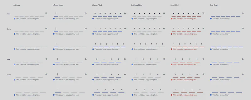 Partitioned Input Fields