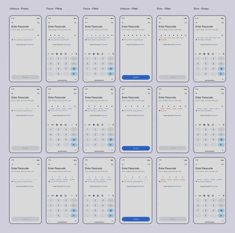 Partitioned Input Fields